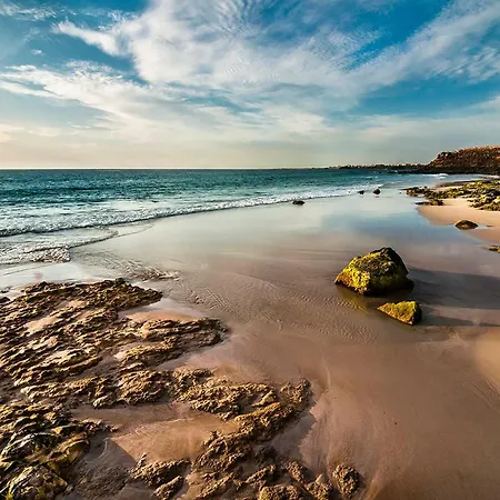 Apartman Little Paradise