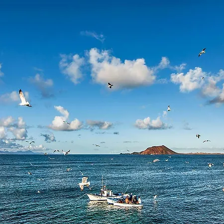 Little Paradise Apartman