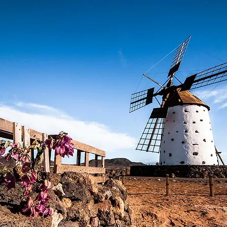 Little Paradise Apartman