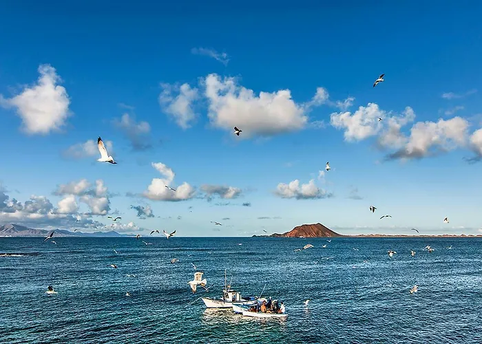 Little Paradise Διαμέρισμα