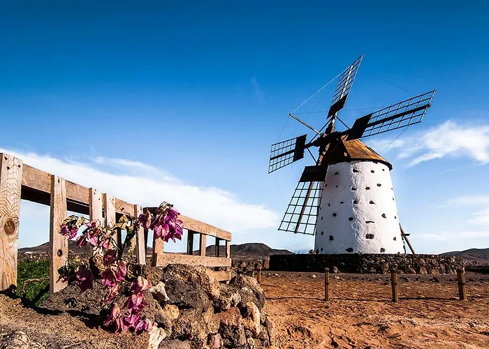 Little Paradise Apartamento